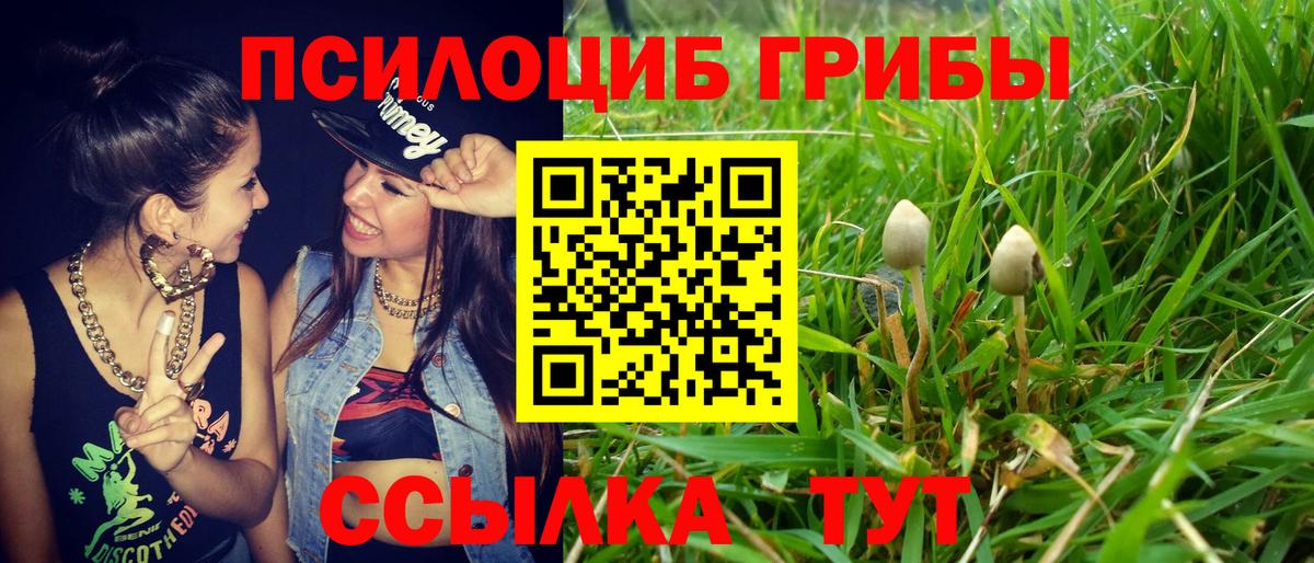 Галлюциногенные грибы GOLDEN TEACHER  Вход с VPN  Галлюциногенные грибы ЛСД  Электрогорск 