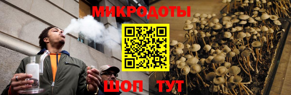 Галлюциногенные грибы Magic Shrooms Электрогорск